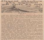 Publication Article